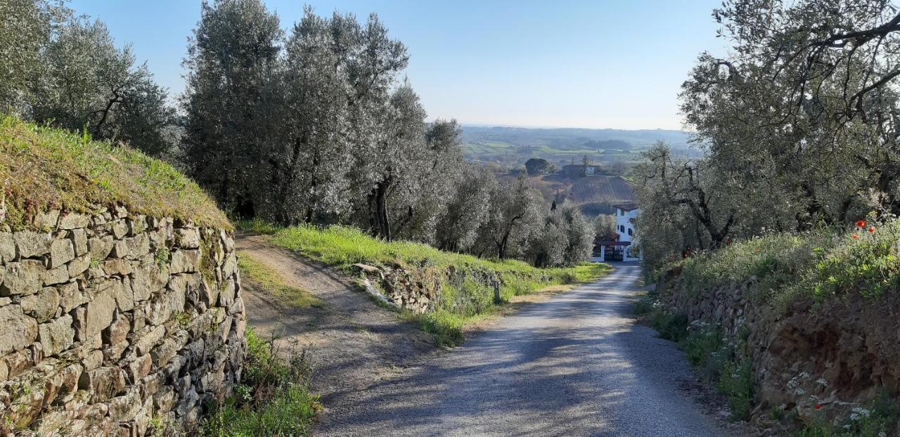 Il Fienile Di Tigliano Villa Vinci Dış mekan fotoğraf